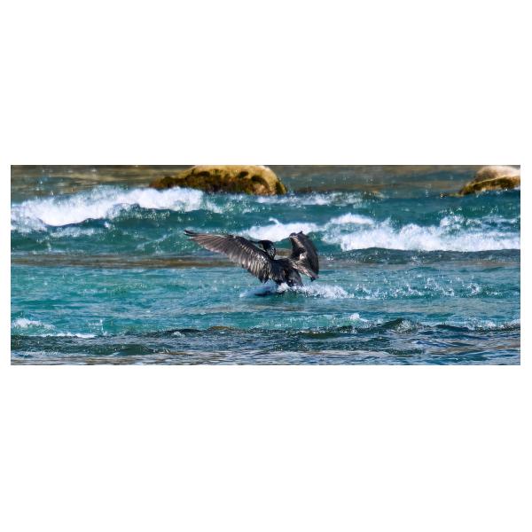 PHOTO84, CLUB, 84 , LUBERON